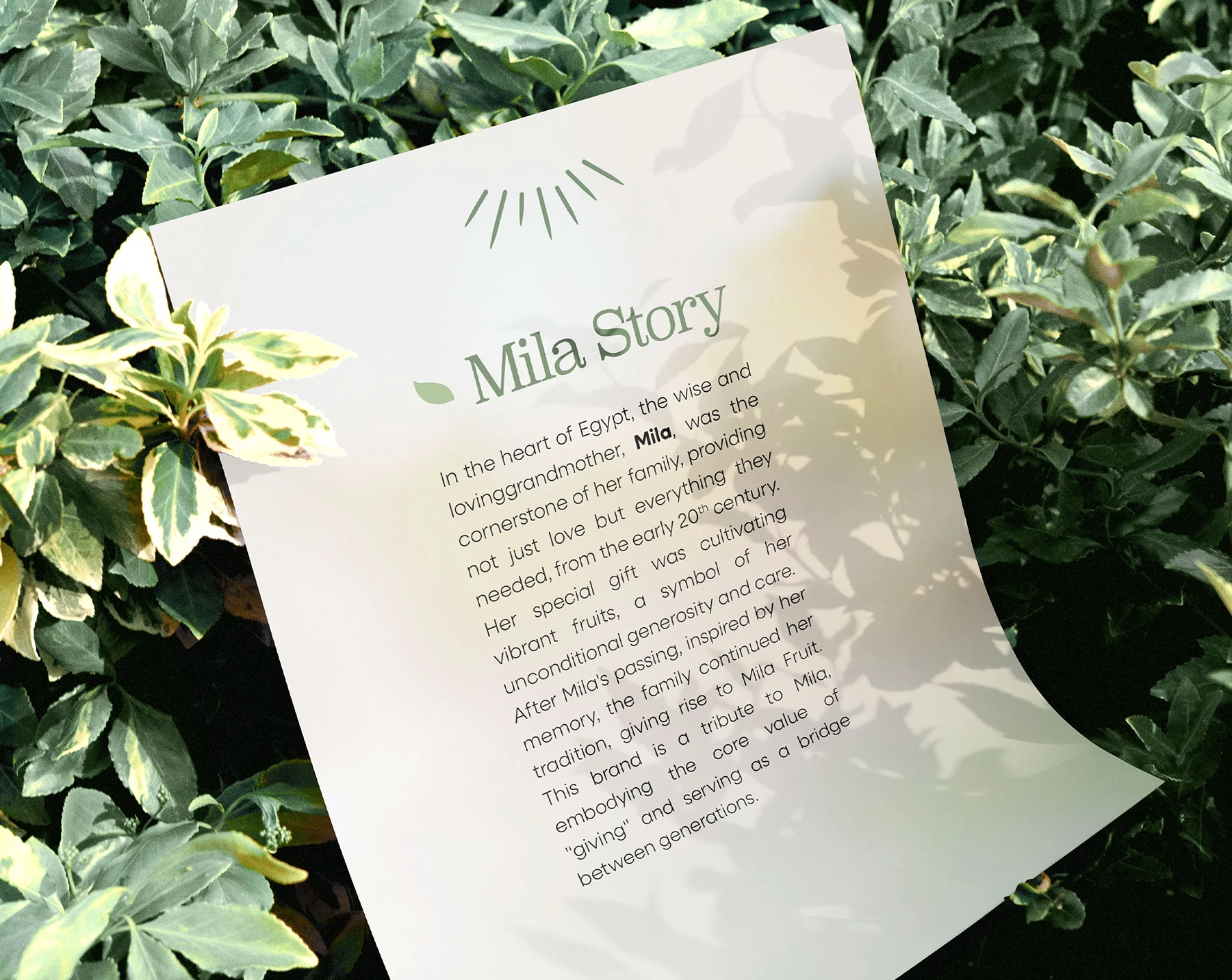 oohmybrand_projects_milafruit_001